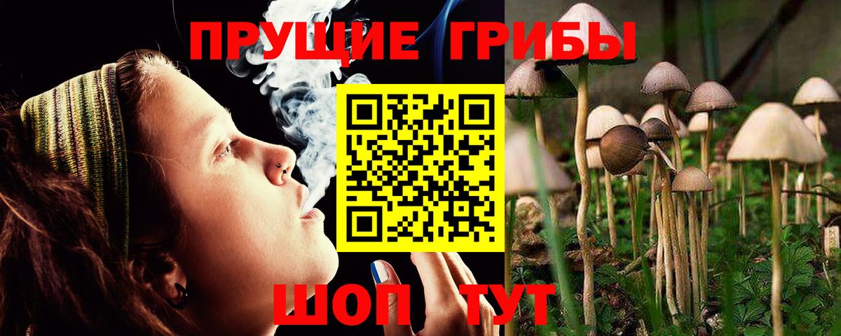 Бутурлиновка  Галлюциногенные грибы MAGIC MUSHROOMS  Вход с VPN 